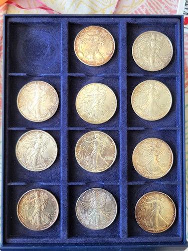 American silver eagle - american,