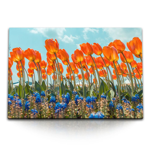 120x80cm wandbild auf - wandbild,