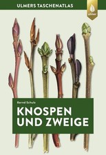 Knospen und Zweige | Bernd