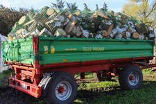 8 RM Birke Rundholz 25–35 cm