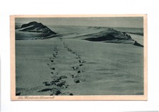 Ak kurische Nehrung Das Weltwunder 1923 Ostpreußen 