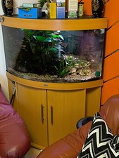 Juwel Eckaquarium mit Unterschrank Trigon 190 Buche, mit Außenfilter und LED Bel