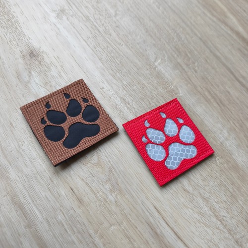 Hund pfote tatze - pfote, tatze|