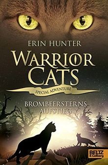 Warrior cats special - warrior,