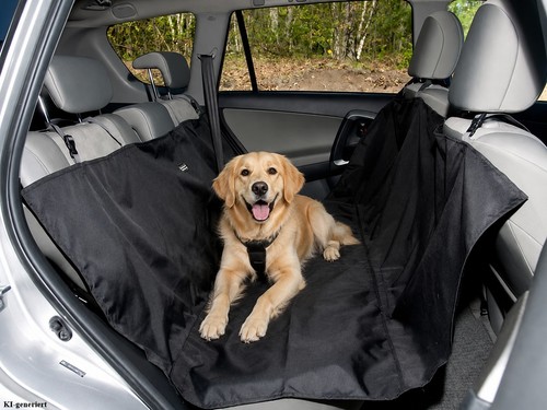 Hunde schutzdecke - hunde,
