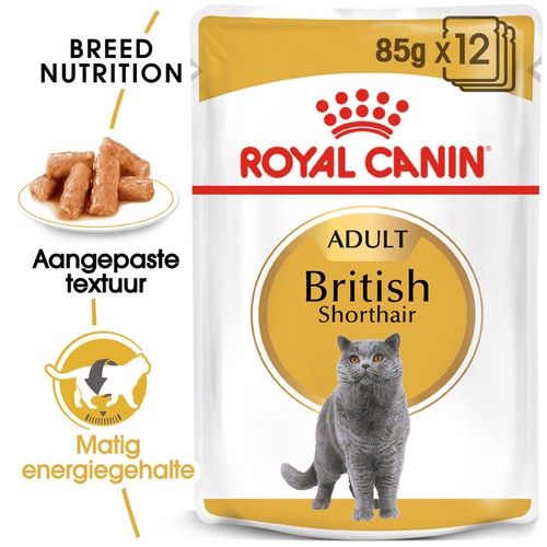 Royal canin britisch - royal, britisch-kurzhaar