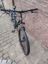 Bergamont Revox 2, greenish
