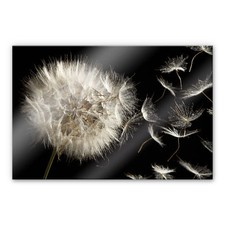 Acrylglas XXL Wandbild