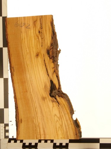 Olivenholz epoxid holz 3cm - olivenholz,