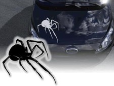 Auto aufkleber spinne - auto,