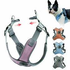 Hundegeschirr Anti Zug