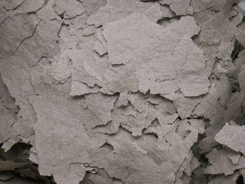 Tintenfisch flocken 1liter - tintenfisch,