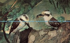 R566837 South Australian