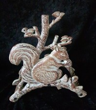Schlauchhalter Eichhörnchen