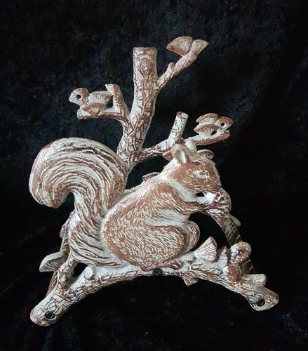 Schlauchhalter eichhörnchen - schlauchhalter,