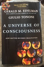 A Universe of Consciousness 