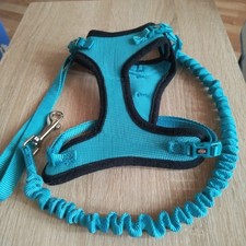Hundeleine ca. 90 cm + Geschirr Größe nicht bekannt für kleine Hunde Set