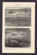 Alte Bildertafel:  Sirenen