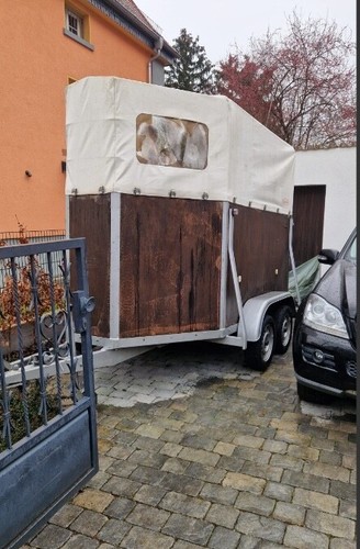 Pferdeanhänger böckmann - pferdeanhänger,