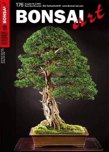 Neue bonsai art 176 - art,