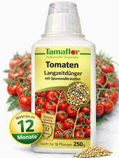 Dünger tomaten pflanzen - ,