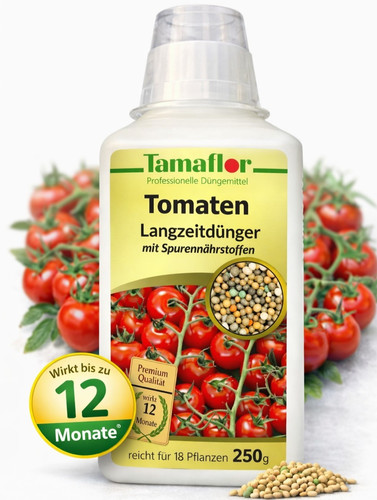 Dünger tomaten pflanzen - tomaten,