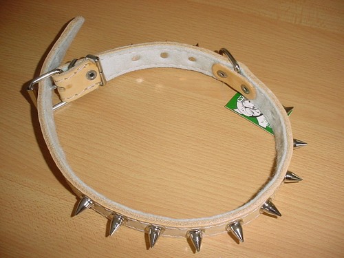 Hundehalsband mit