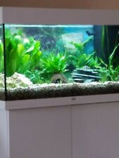Juwel Aquarium komplett 120 l mit Unterschrank, Bodenkies, Pflanzen und Deko