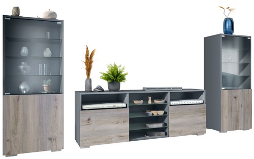 Wohnwand lowboard vitrine - lowboard,