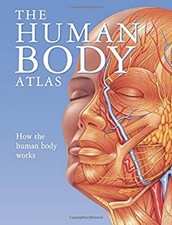 Der Menschliche Körper Atlas: Wie Der Menschliche Körper Funktioniert Gebunden