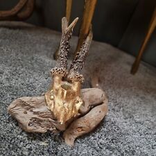 Designer Geweih Unikat  Blattgold