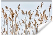 Muralo Vlies Selbstklebende