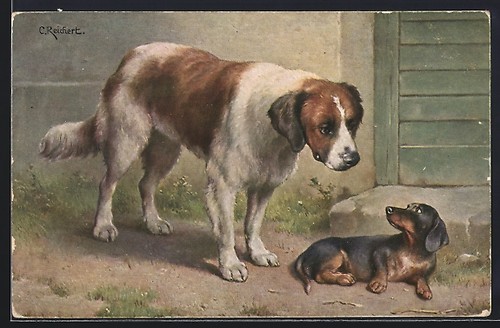 Künstler reichert - künstler-ak, c.reichert