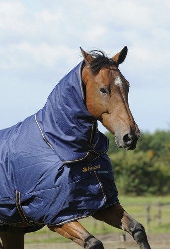 Bucas irish turnout 50g - irish,