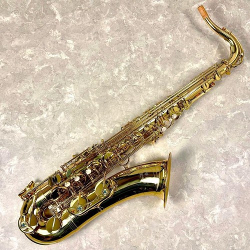 Yanagisawa wo1 bb - yanagisawa,
