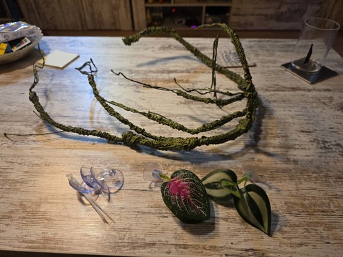 Zubehör deko für terrarium