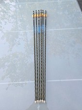 Gold Tip XT Hunter Carbonpfeile 6 Stück