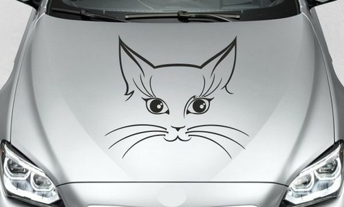 Aufkleber auto motorhaube - aufkleber,