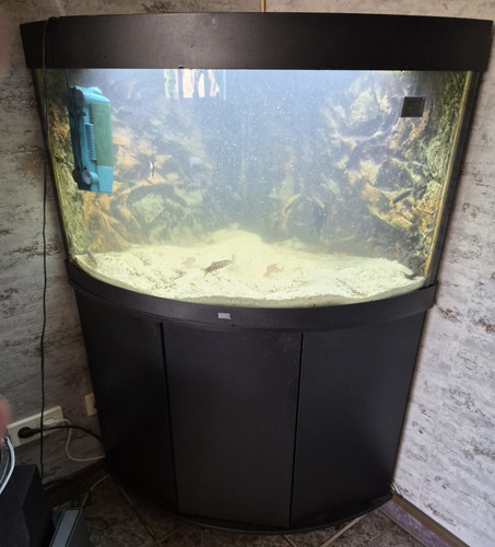 Juwel aquarium mit - juwel,
