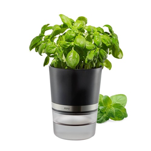 Kräutertopf botanico kräuter - kräutertopf,