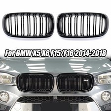 Nieren Grill Kühlergrill