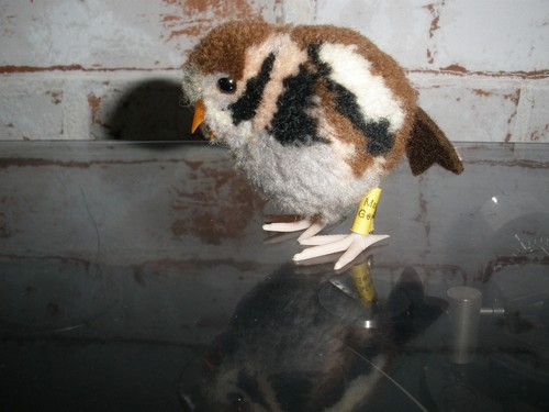 Steiff spatz vogel - vogel, *sehr
