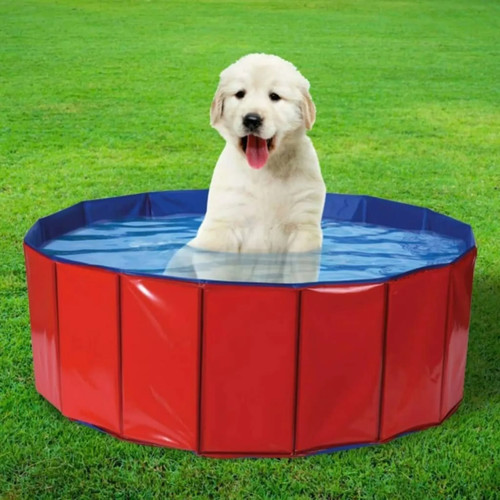 Hundepool hundeplanschbecken - hundepool,