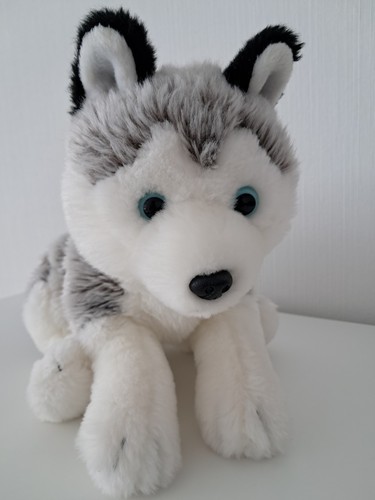 Husky animal alley - husky,