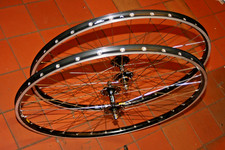 MICHE PRIMATO FIX / FREE