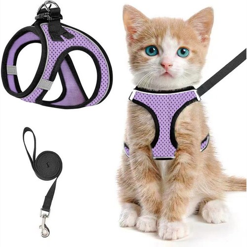 Soft katzengeschirr mit leine - soft,