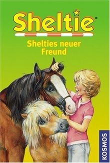 Shelties neuer freund sheltie - shelties,