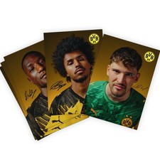 BVB Autogrammkarten Set mit gedruckten Unterschriften 2025/2026 BVB Fanartikel