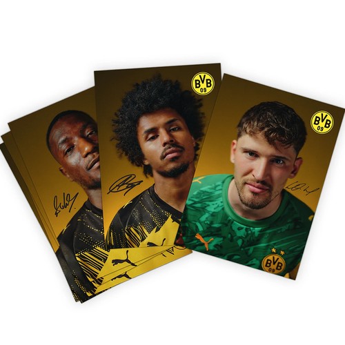 Bvb autogrammkarten set mit - bvb,
