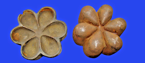 Hutmacher blumenform - hutmacher-blumenform, ca